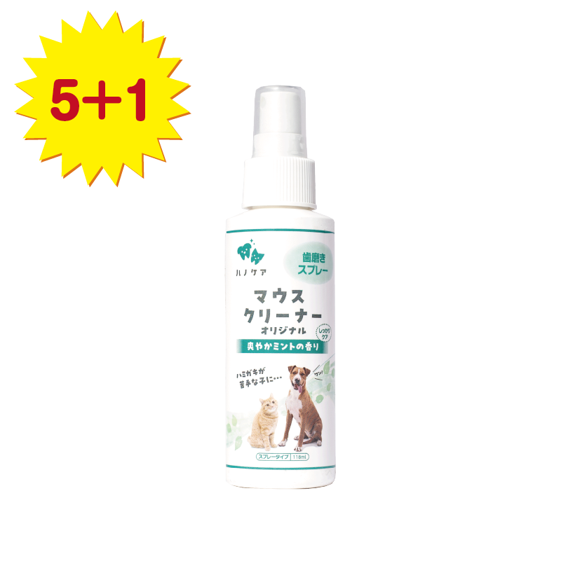 【キャンペーン5+1】ハノケア マウスクリーナースプレー ミントプラス 118ml