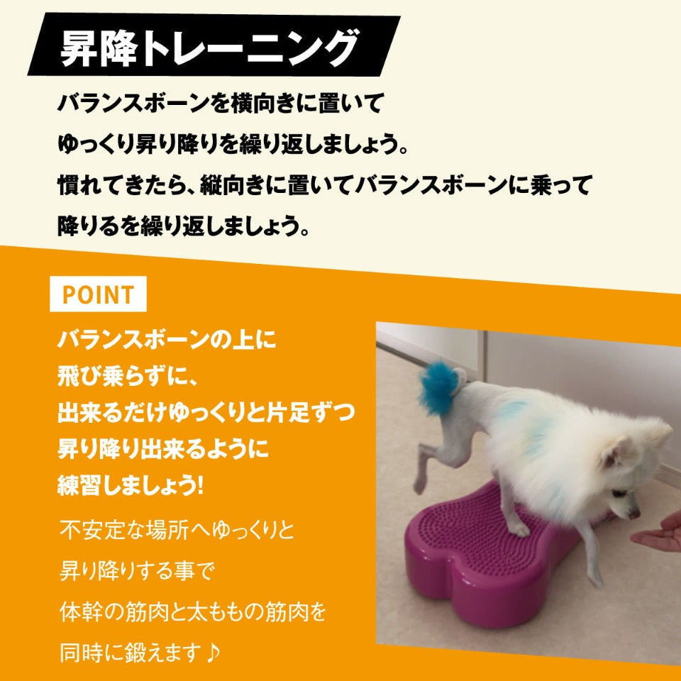 【キャンペーン5%OFF】アプリア バランスボーン