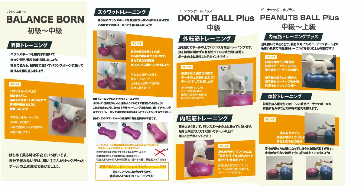 【販促品】バランスボール3種（8ページ観音開き）