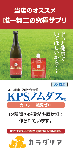 【販促品】ノムダス（A4 3つ折り）